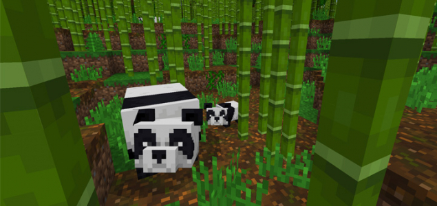 Бамбуковый лес и панды
