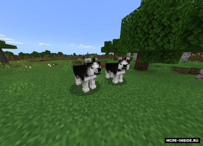 Minecraft PE Inside Minecraft PE Inside