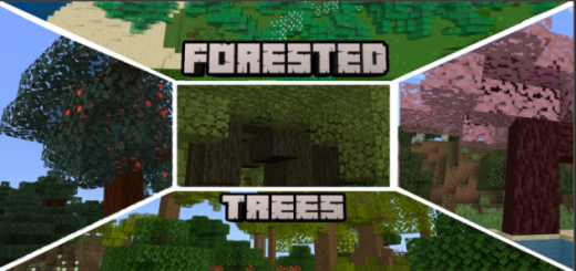 Лесные деревья
