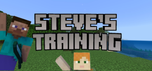 Тренировка Стива