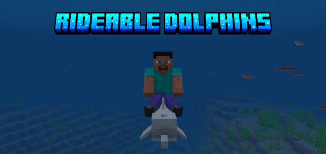 Езда на дельфинах