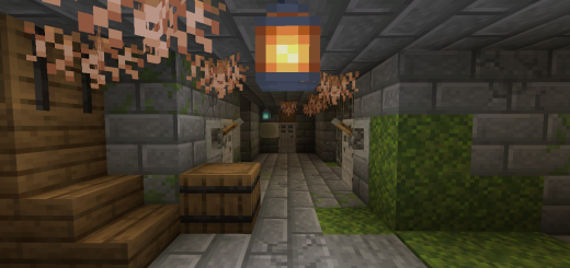 Побег из тюрьмы мобов