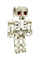 Skeleton